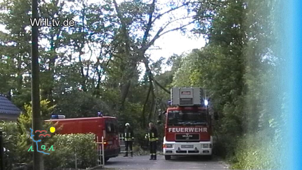 Film abspielen
