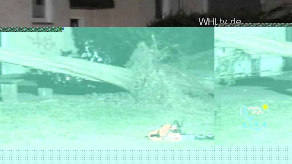 Film abspielen